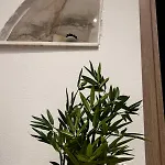 Bianco Di Syra 2 Apartament Ermupoli